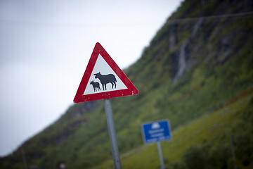 Image showing Norwegian Mountain Road