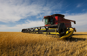 Image showing Combine harvesting