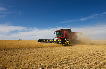 Image showing Autumn harvest