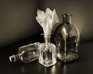 Image showing Three Small Bottles and Cucurbita Flower