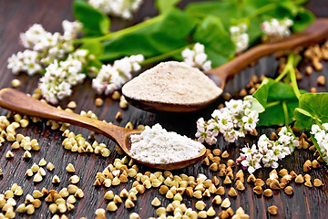 Image showing Flour buckwheat green and brown in spoons on board