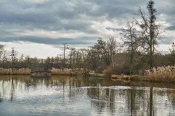 Image showing Autumn water surface with trees, cloudy weather