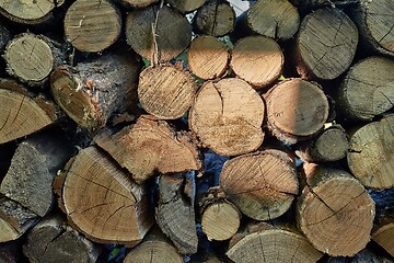 Image showing Log wood pile