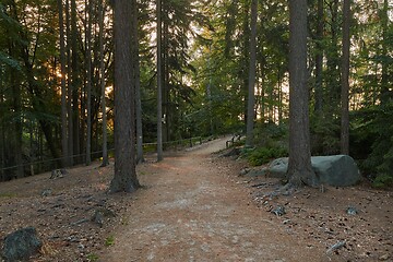 Image showing Forest hiking path