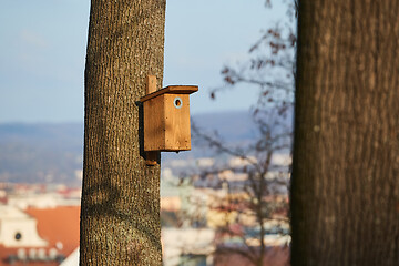 Image showing Bird feeder in a park