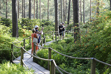 Image showing Helsinki, Finland – June 17, 2020: Haaga Rhododendron Park in 