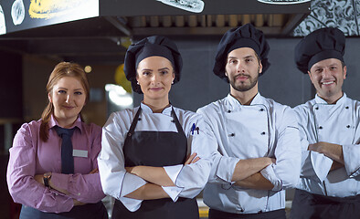 Image showing Portrait of group chefs