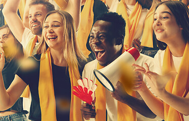 Image showing stadium soccer fans emotions portrait