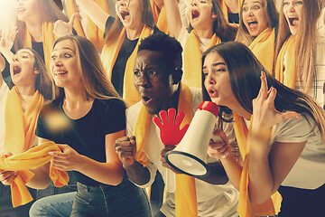 Image showing stadium soccer fans emotions portrait