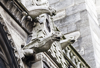 Image showing Gargoyles of Notre Dame cathedral in Paris