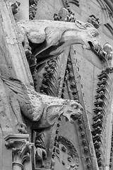 Image showing Gargoyles of Notre Dame cathedral in Paris