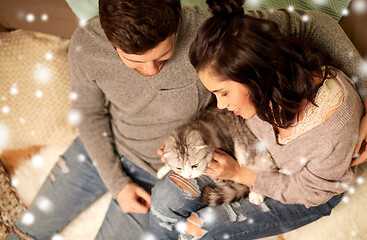 Image showing happy couple with cat at home