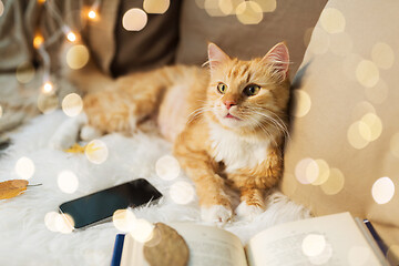 Image showing red cat lying on sofa with smartphone at home