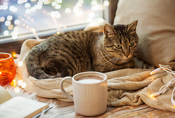 Image showing tabby cat lying on window sill with book at home