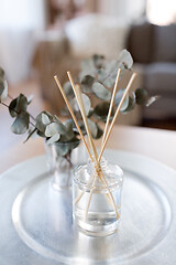 Image showing aroma reed diffuser and branches of eucalyptus