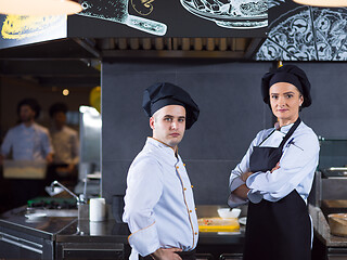 Image showing Portrait of two chefs