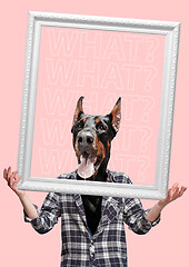 Image showing Contemporary art collage or portrait of surprised dog headed man. Modern style pop art zine culture concept.
