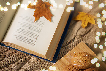 Image showing book with autumn leaf and cookies on home blanket