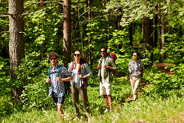 Image showing group of friends with backpacks hiking in forest