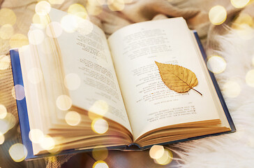 Image showing book with autumn leaf on blanket at home