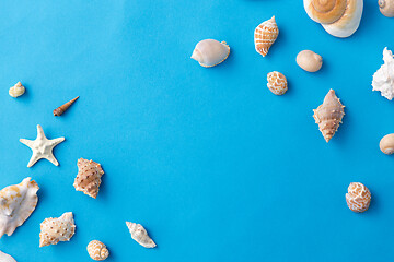 Image showing different sea shells on blue background