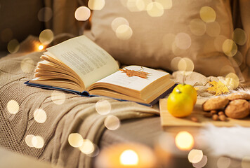 Image showing book with autumn leaf and blanket on sofa