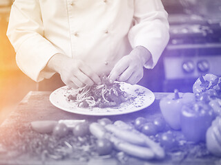 Image showing cook chef decorating garnishing prepared meal