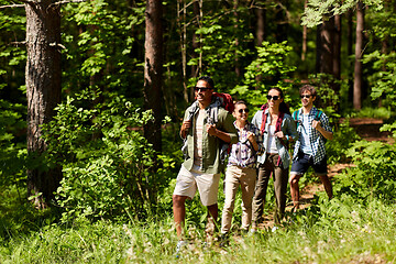 Image showing group of friends with backpacks hiking in forest