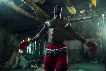 Image showing Hand of boxer over black background. Strength, attack and motion concept