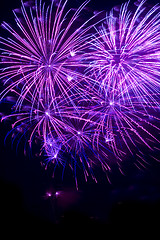 Image showing Purple fireworks