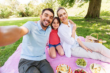 Image showing family having picnic and taking selfie at park