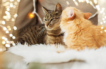 Image showing two cats lying on sofa with sheepskin at home