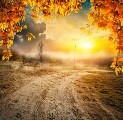 Image showing Road and autumn field