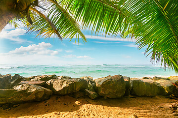 Image showing Ocean and palm trees