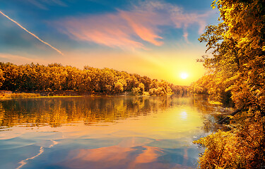 Image showing Forest and river