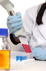 Image showing Scientist dispensing liquid from pipette
