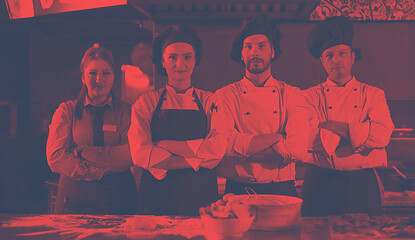 Image showing Portrait of group chefs