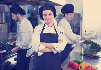 Image showing Portrait of young chef