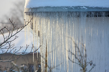 Image showing Roof with icicles hanging from roof.