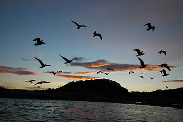 Image showing Sunrise in Norway