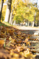 Image showing Autumn in Norway