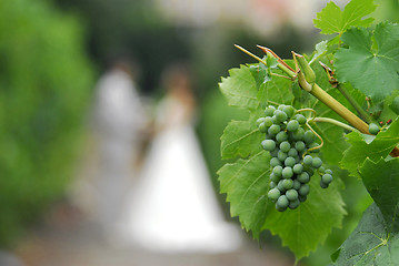 Image showing Grapes