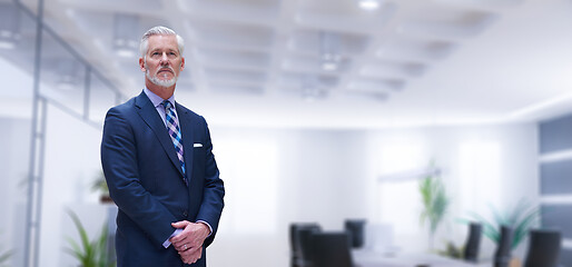 Image showing Senior businessman in his office