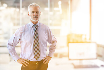 Image showing Senior businessman in his office