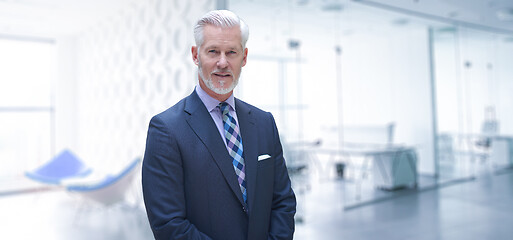 Image showing Senior businessman in his office