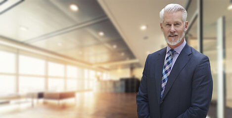 Image showing Senior businessman in his office