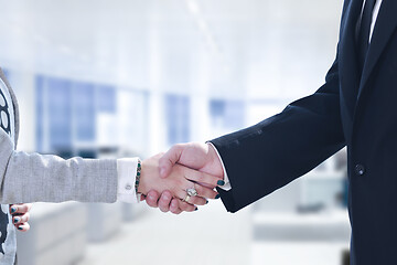Image showing Businessman and businesswoman shaking hands after meetup