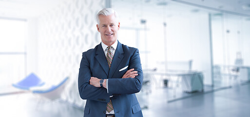 Image showing Senior businessman in his office