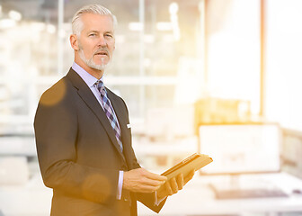 Image showing Senior businessman in his office