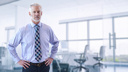 Image showing Senior businessman in his office